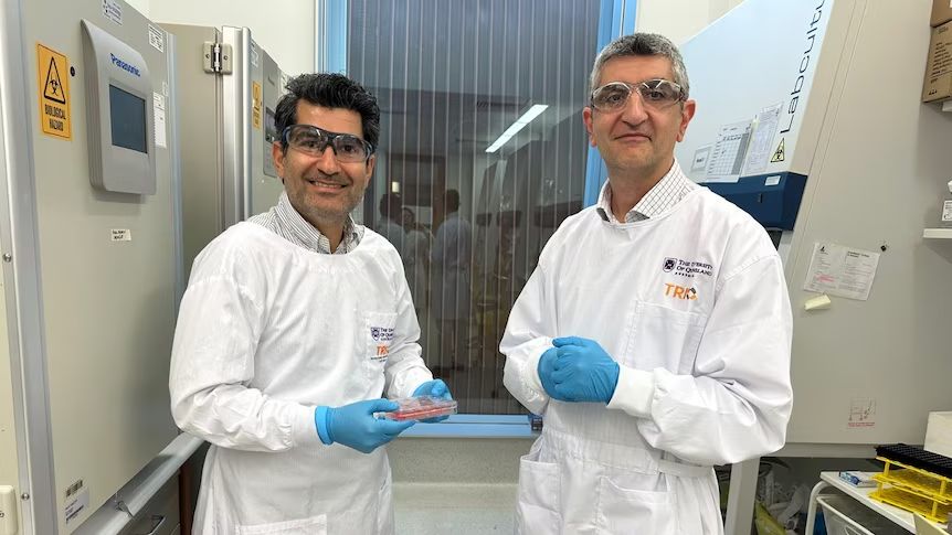 Artificial Living Skin: ऑस्ट्रेलिया के वैज्ञानिकों की नई खोज! इंसानी त्वचा अब लैब में विकसित